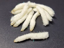 GALAXY MOP CHENILLE - BODY MATERIAL - CREAM - 1-1/4" X 1/4" - Fly Tying Material