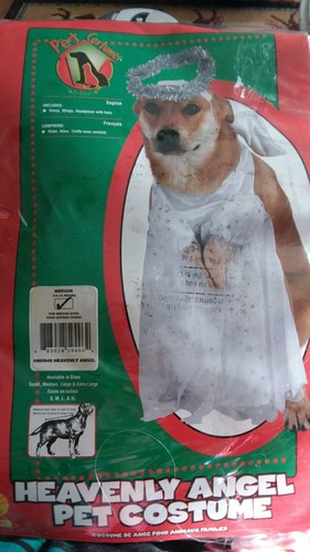 dog angel halo costume