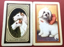 2 Single Vintage Swap Playing Cards US Named TWO OF NOTTS’ CHAMPIONS/TOOTS Dogs