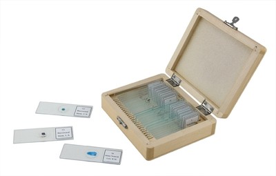 Celestron 25 Prepared Microscope Slide Kit w/Storage Case - Celestron #44410