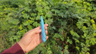 Video 1 von 1