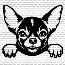 Cute Peeking Chihuahua Car Truck Vinyl Decal US Sold Made