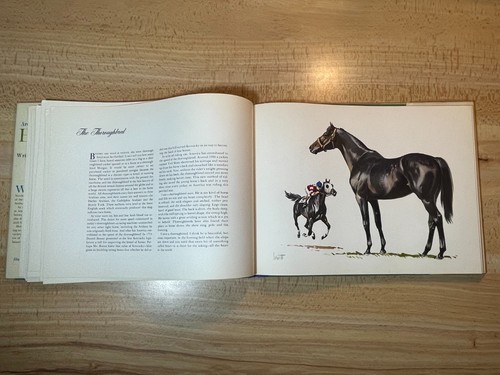 Sam Savitt Around the World with Horses Book 1962 HC DJ 24 Full Color Plates - Picture 8 of 23