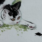 Original Watercolor Chinese Painting Cat Signed Matted Framed 1984 — photo 3