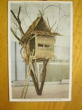 Lake Lanad Tree Dwelling Americn Museum of National History NVC PHOSTINT 12