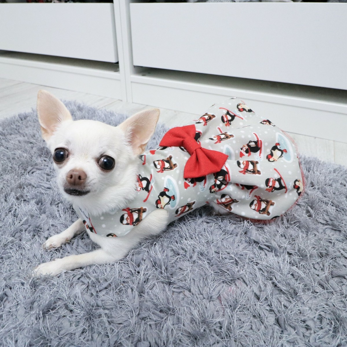 white christmas dresses Black Christmas Light Ruffle Dog Dress