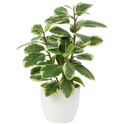 Künstliche Kamelie Zimmerpflanze Seidenblumen Camellia Japonica im Topf 28cm