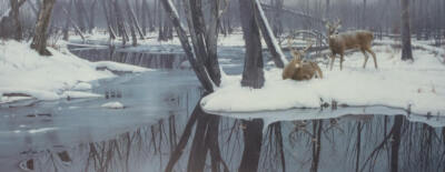 Daniel Smith - Winter Whites - White Tailed Deer - S/N Lithograph - Signed MINT