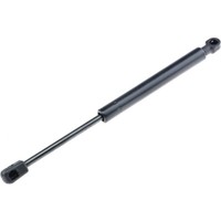 NTY Gasfeder Motorhaube 680 N FüR BMW X3 F25 Xdrive20D Xdrive30D X4 F26 Alpina