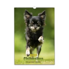 Chihuahua Dog photo calendar 2027/28 personalised Choose Start