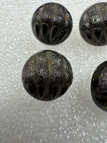 Antique Victorian 1930s Black Glass Bear Claw Paw Buttons - Picture 6 of 24