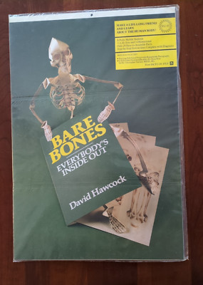 3D Paper Model Bare Bones Everybody's Inside Out by David Hawcock