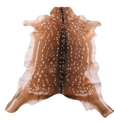 Axis Deer Hide Real Axis Deer Skin average size: 39X35