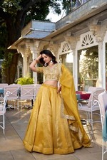 Wedding Special Lehenga  Blouse Dupatta Partywear 3 Pc Pakistani Choli Set