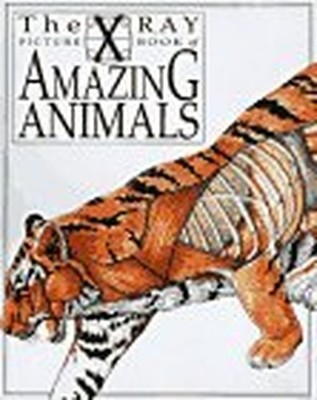 X-Ray Picture Book of Amazing  - VERY GOOD