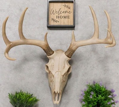 Large Buck Head Wall Mount Deer Skull Antler Rack Bust Hunting