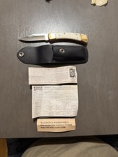 Buck 110WC Folding Hunter Corian 