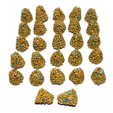 25-200 Pezzi Cono Fertilizzante a Lunga Durata Osmocote da 5 g ciascuno Fornitura Completa per 8-9 Mesi 