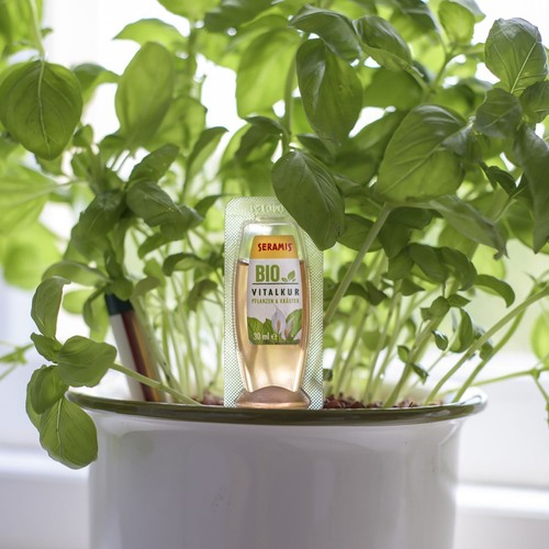 Seramis Pflanz-Granulat für Zimmerpflanzen 15 l + 2 Bio-Vitalkuren gratis - Bild 2 von 7