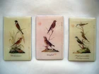 * J. Friedrich Naumann * fridge * magnet * forest & meadow birds * birds * 8x5cm
