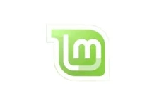 Linux Mint 19.3 LTS Cinnamon 64-bit Linux OS Live/Install 16 GB USB PC/Mac