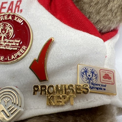 Aus der Welt von Smile International Inc Bär mit State Farm & United Way Pins - Bild 5 von 12
