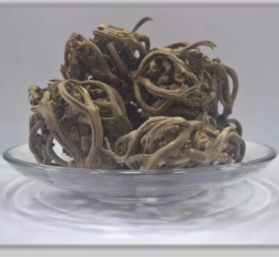 عشبة كف مريم Chaste Tree 450 grams | eBay