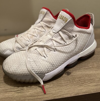 sepatu lebron james 16