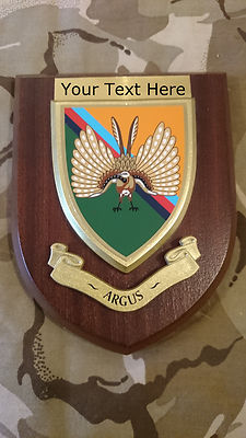14 Intelligence ARGUS Personalised Military Wall Plaque UK Made