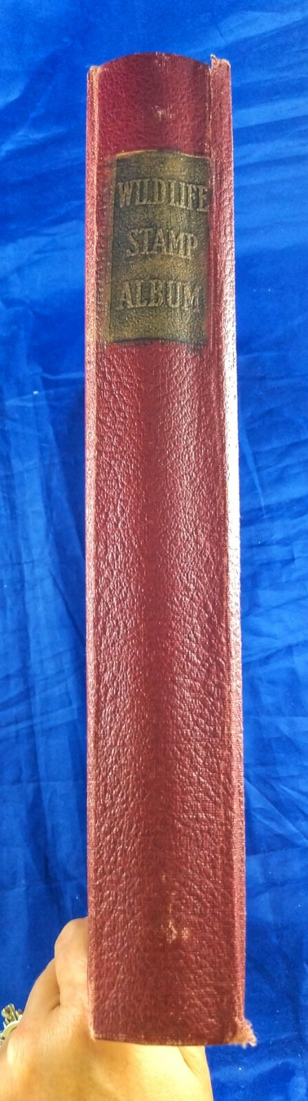 Picture 2 of 12