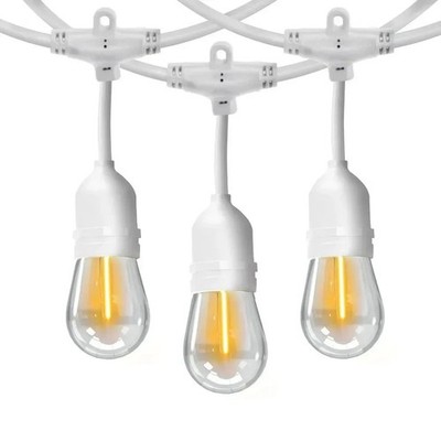 Feit Electric 48' LED Filament String Light 24 bulbs waterproof Indoor/outdoor
