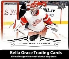 2018-19 Upper Deck #317 Jonathan Bernier Detroit Red Wings NHL Hockey