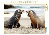 Calvendo Puzzle Encounter With The Sea Lions | 2000 Pieces, Finished Size 35.4 ×