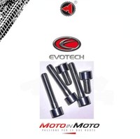 Evotech Kit Schrauben Serbatoio Mv Agusta Brutale F4 1000 750 (5 Viti) Silber