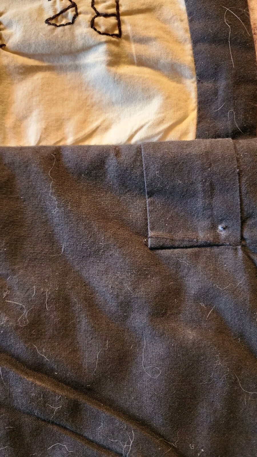 Picture 10 of 12
