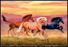 Running Horses 2 - DIY Chart Counted Cross Stitch Pattern Needlework DMC