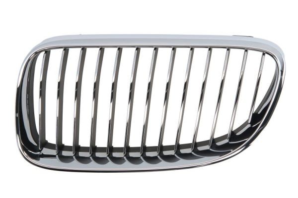 Left Front BLIC 6502-07-00629915PP Radiator Grille for BMW
