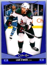 2024-25 O-Pee-Chee Blue Border Liam O'Brien Utah Hockey Club #193