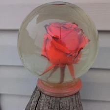Forever Rose Preserved Real Red Rose In Glass Water Ball Dome Globe 5.5”  
