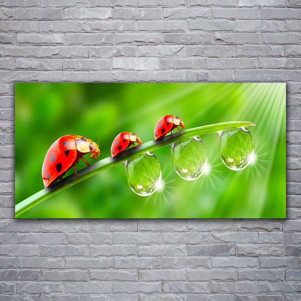 Tableau sur verre acrylique paysage 120x60 cm deco murale herbe verte