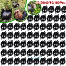 20-100x Plant Root Growing Box - Plant Rooting Grafting Box for Fast Propagation