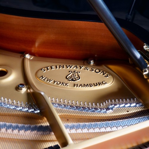 Steinway & Sons Model D (2003) Concert Grand Piano in Black Polyester | RARE - Picture 9 of 21