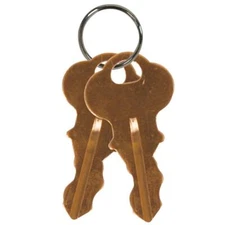 Safety Technology International Inc. KIT-H19032 Two Replacement Keys #2341
