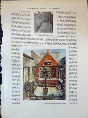 Alte Wilton Platzfenster Pflanzen Hanslip Fletcher Montagu Square 1903 20.