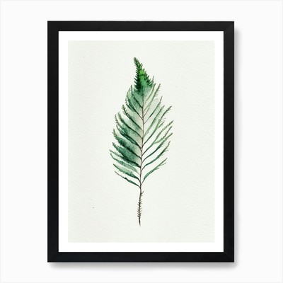 Douglasie Nadelblatt minimalistisch gerahmtes Wandbild Poster Leinwanddruck Bild