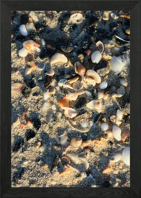 Muscheln Nahaufnahme Elafonisi Gerahmtes Wandbild Poster Leinwanddruck Bild