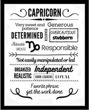 Capricorn Very Sweet And Patient  Independent  Zodiac Sign Celestial -MAGNET