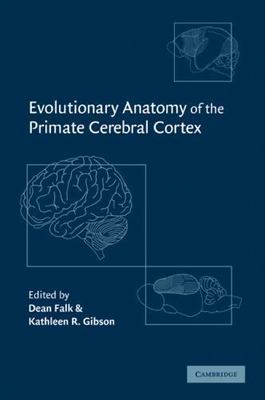 Evolutionary Anatomy of the Primate Cerebral Cortex, Paperback by Falk, Dean ...