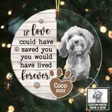 Personalized Pet Memorial Photo Ornament, Custom Pet Photo Ornament