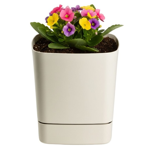 Howhomely Pflanzentopf Blumentopf Mit Untersetzer BlumenküBel Beige 16X16Cm Deko-image